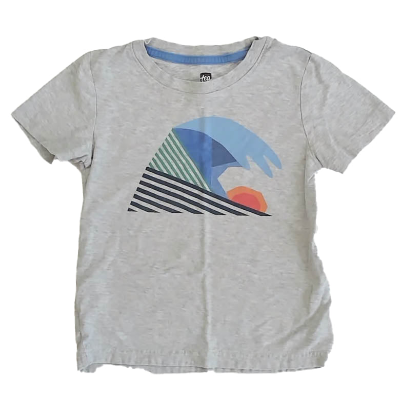 Tea Collection Boys Gray T-Shirt Size: 4T Gray