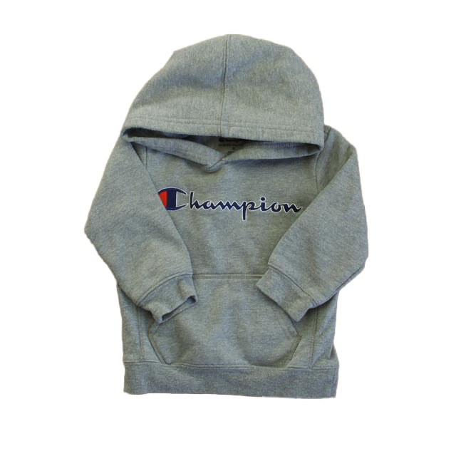 Champion Boys Gray Hoodie Size: 2T Gray