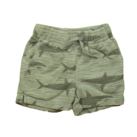 Tea Collection Boys Gray Shorts Size: 3T Gray