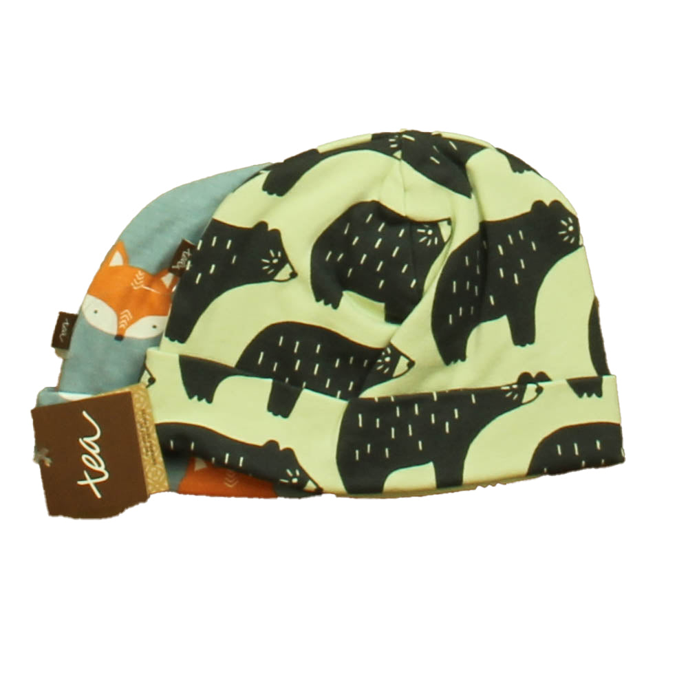 Tea Boys Green Bears | Blue Fox Hat Size: 6-9 Months Green Bears | Blue Fox