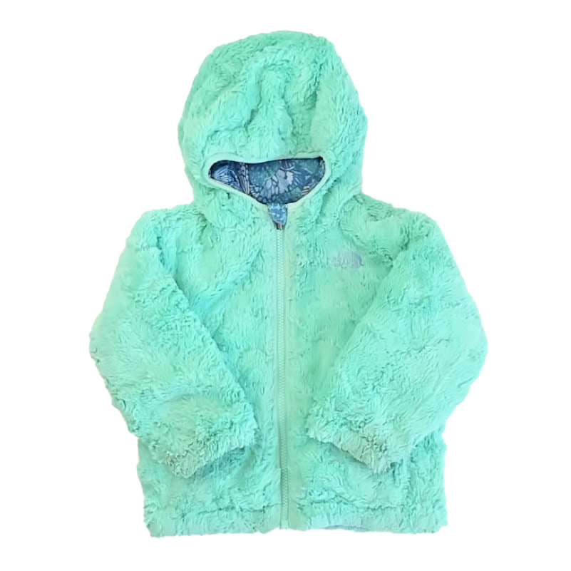 The North Face Girls Green | Blue Winter Coat Size: 2T Green | Blue