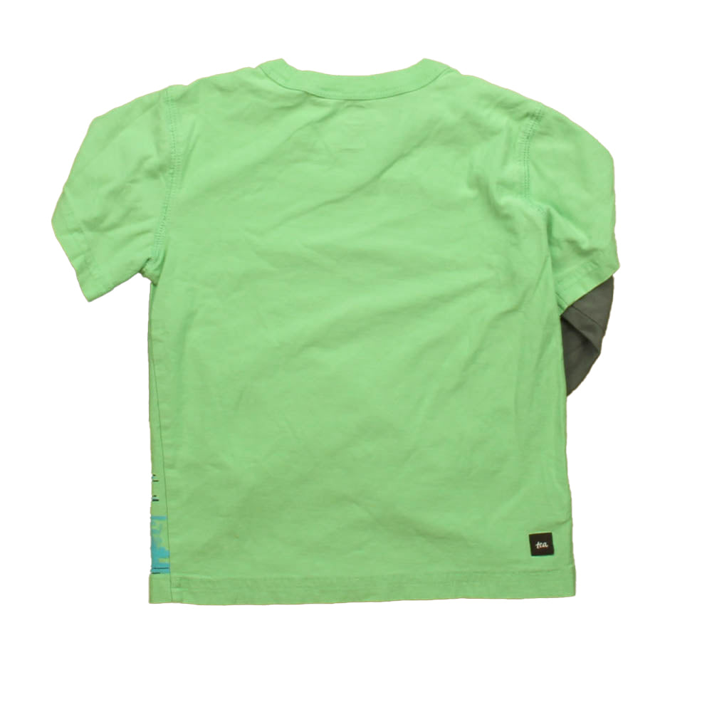 Tea Boys Green Bug Long Sleeve T-Shirt Size: 4T Green Bug