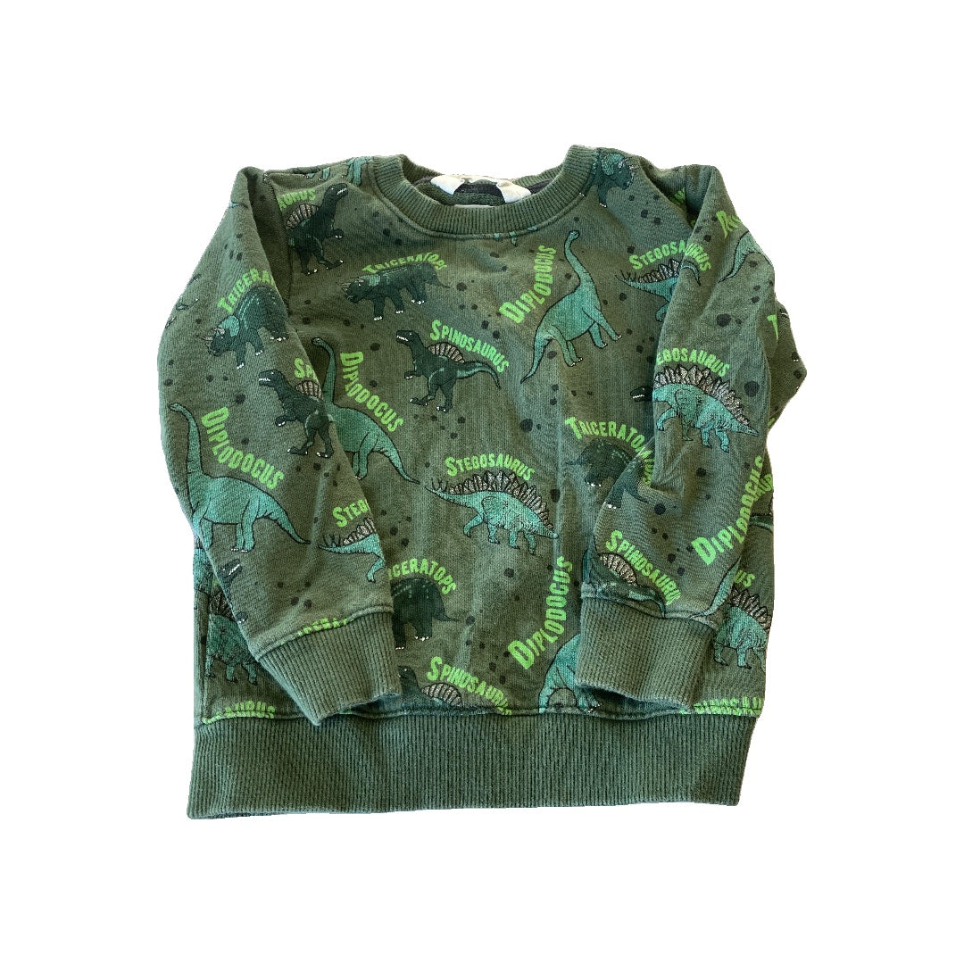 H&M Boys green | Dinosaur Sweater Size: 2-4 Years green | Dinosaur
