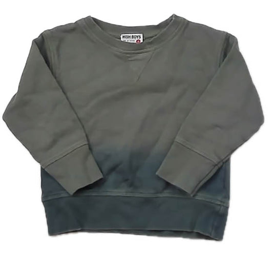 Mish Boys Boys Green Ombre Long Sleeve Shirt Size: 2T Green Ombre