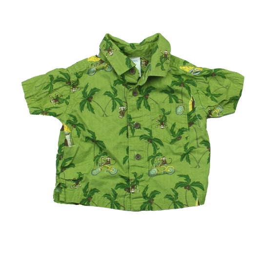 Gymboree Boys Green Palm Trees Button Down Short Sleeve Size: 3-6 Months Green Palm Trees