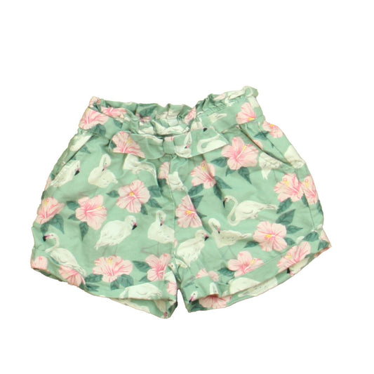 Janie and Jack Girls Green | White Swans Shorts Size: 6-12 Months Green | White Swans