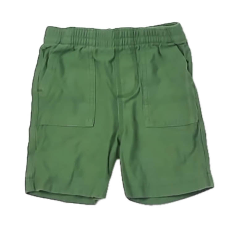 Tea Collection Boys Green Shorts Size: 2T Green