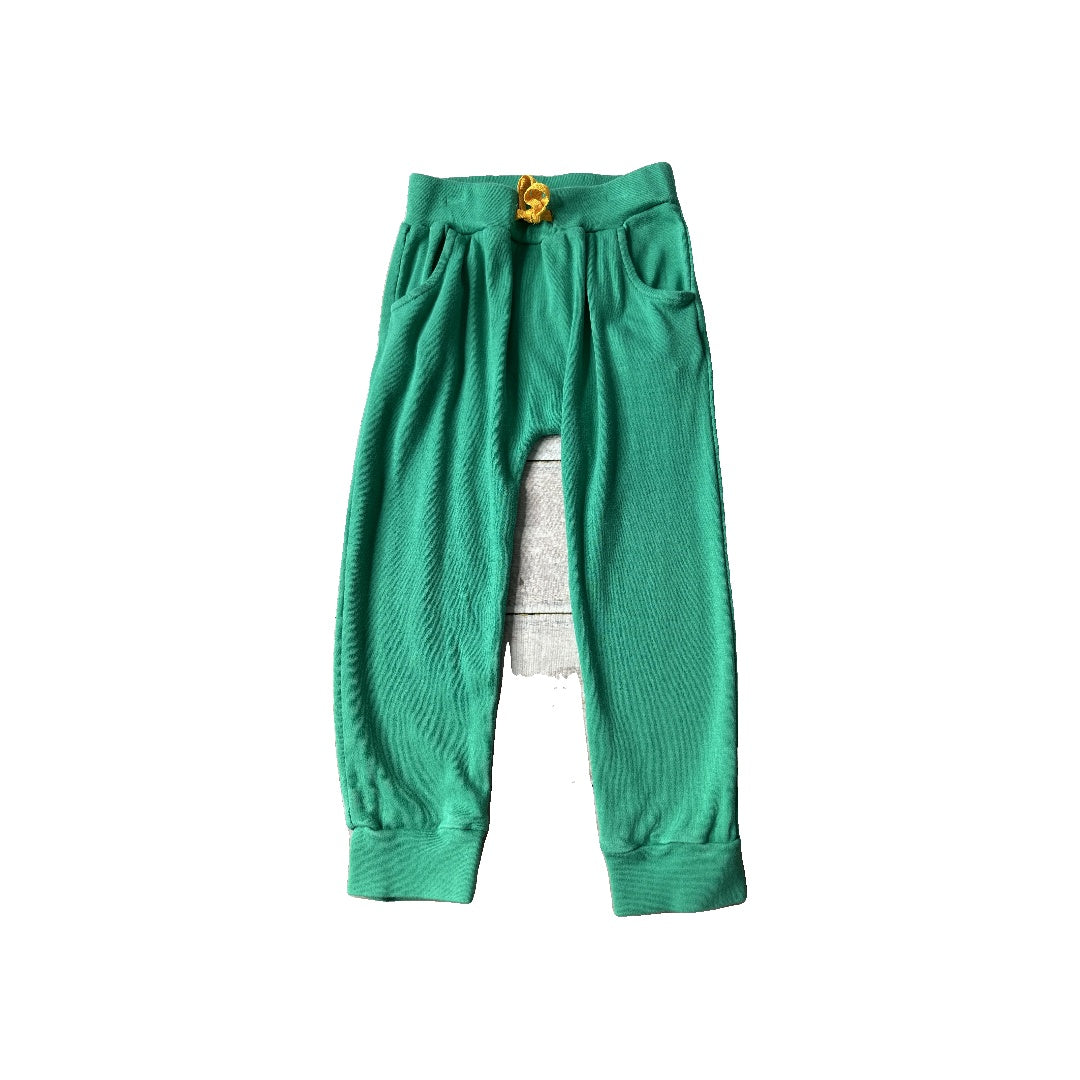 Finn + Emma Unisex green Pants Size: 3T green