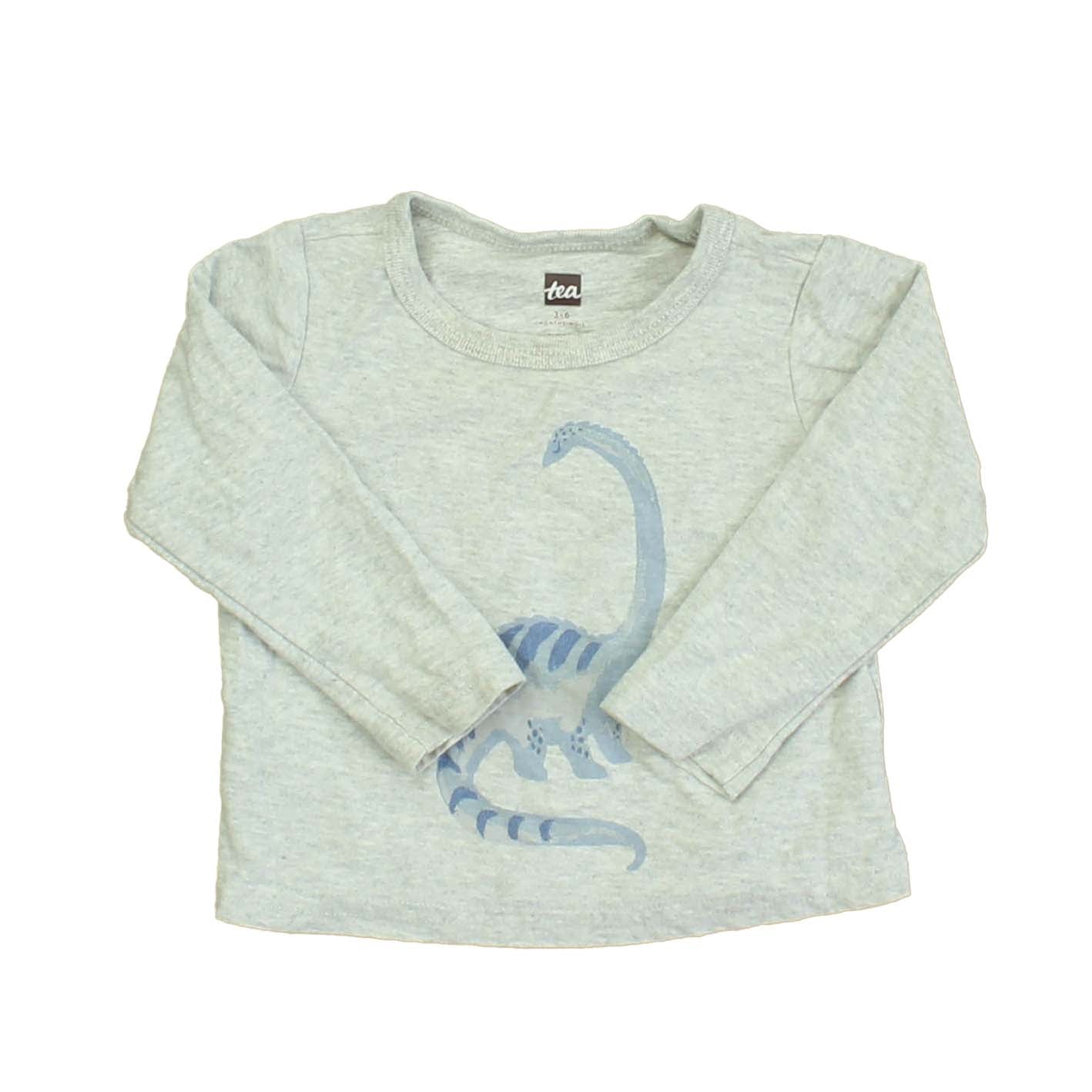 Tea Boys Grey | Blue | Dinosaur Long Sleeve T-Shirt Size: 3-6 Months