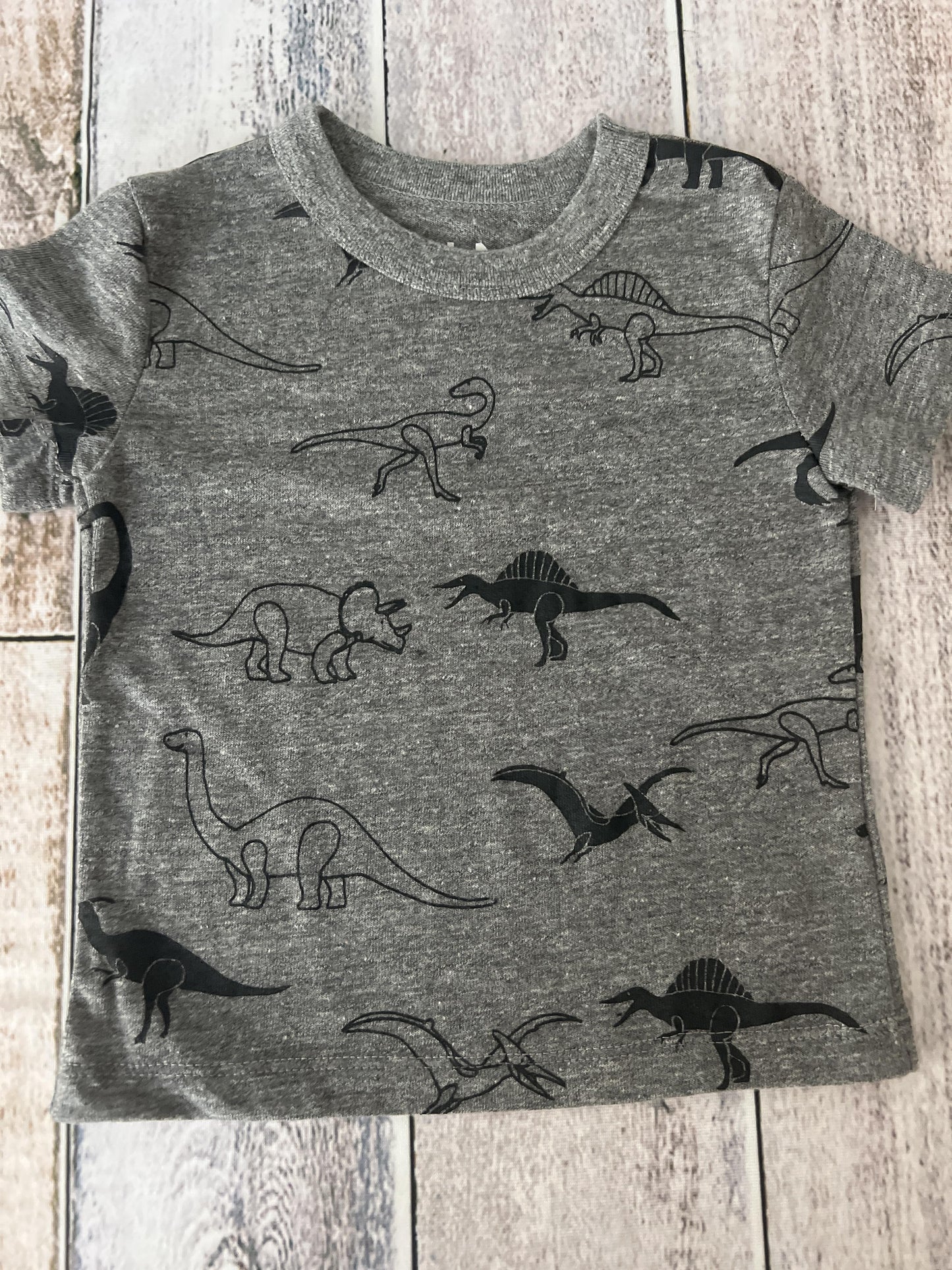 Chaser Boys Grey | Dinosaur T-Shirt Size: 2T Grey | Dinosaur