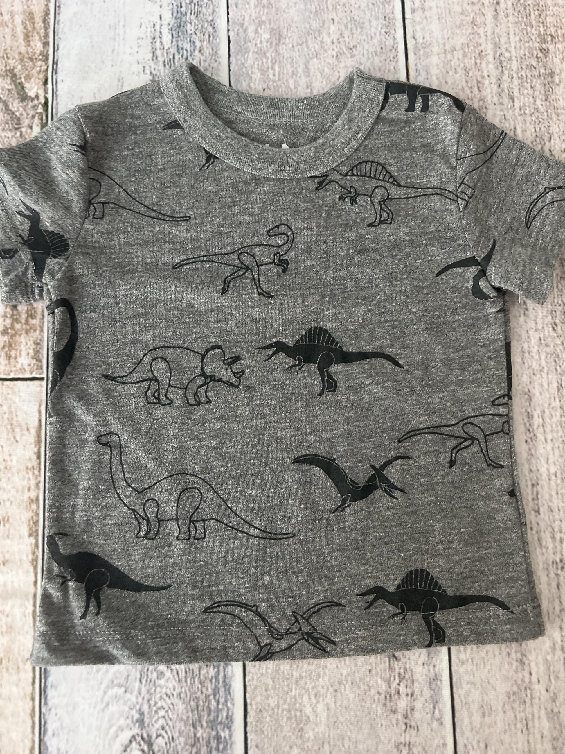 Chaser Boys Grey | Dinosaur T-Shirt Size: 2T Grey | Dinosaur