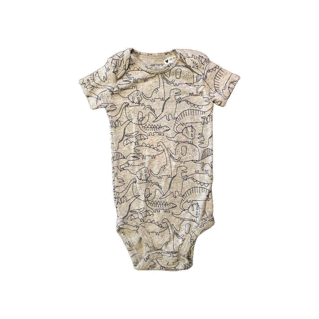 Carters Boys Grey | Dinosaur Onesie Size: 9 months Grey | Dinosaur