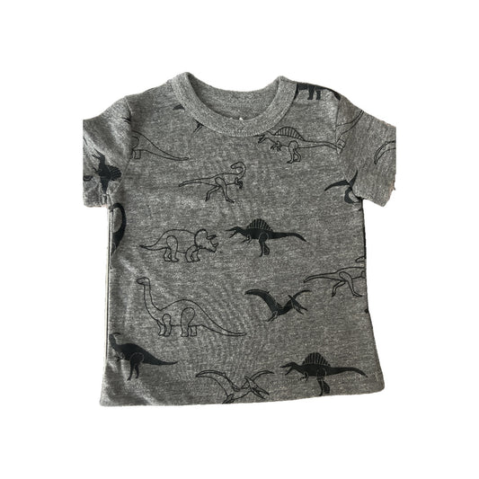 Chaser Boys Grey | Dinosaur T-Shirt Size: 2T Grey | Dinosaur