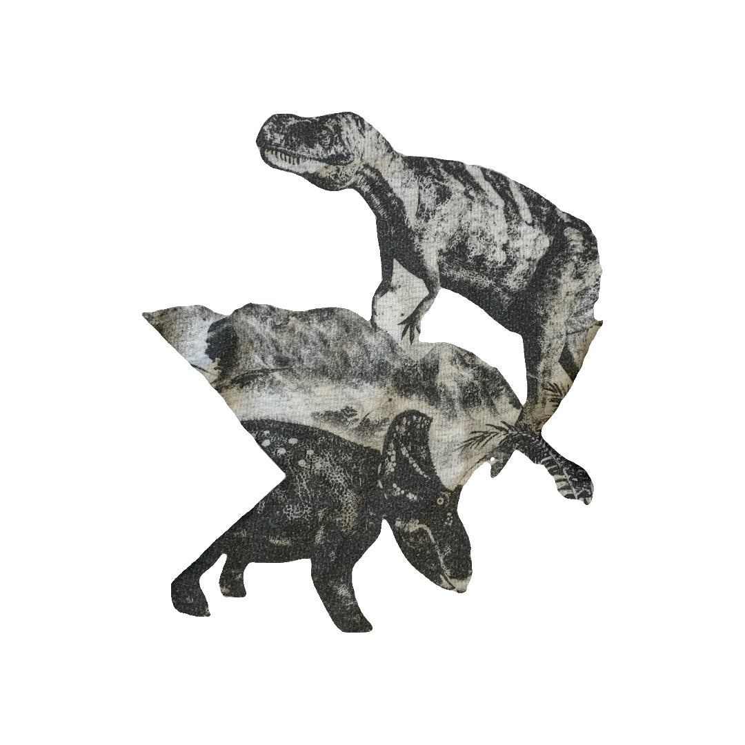 Jumping Beans Boys Grey | Dinosaur Sweatshirt Size: 6 Grey | Dinosaur