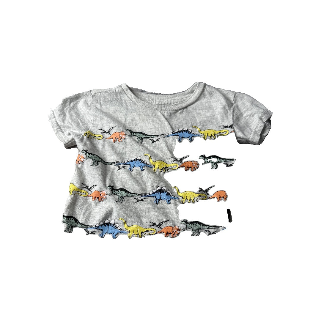 American Hawk Unisex Grey | Dinosaur T-Shirt Size: 2T Grey | Dinosaur