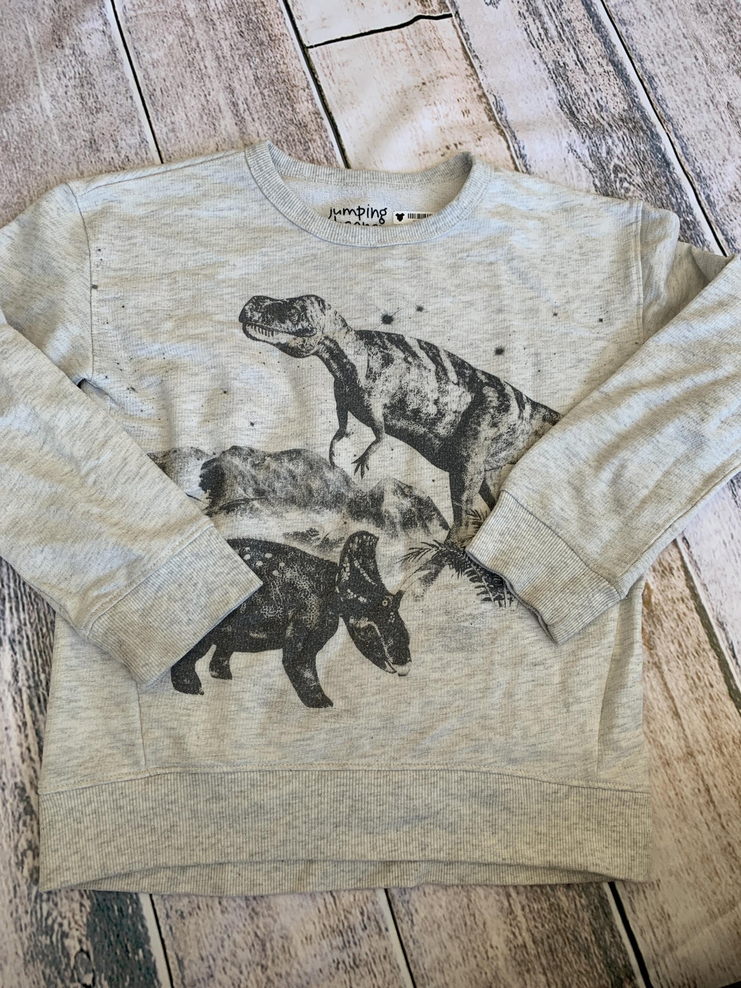 Jumping Beans Boys Grey | Dinosaur Sweatshirt Size: 6 Grey | Dinosaur