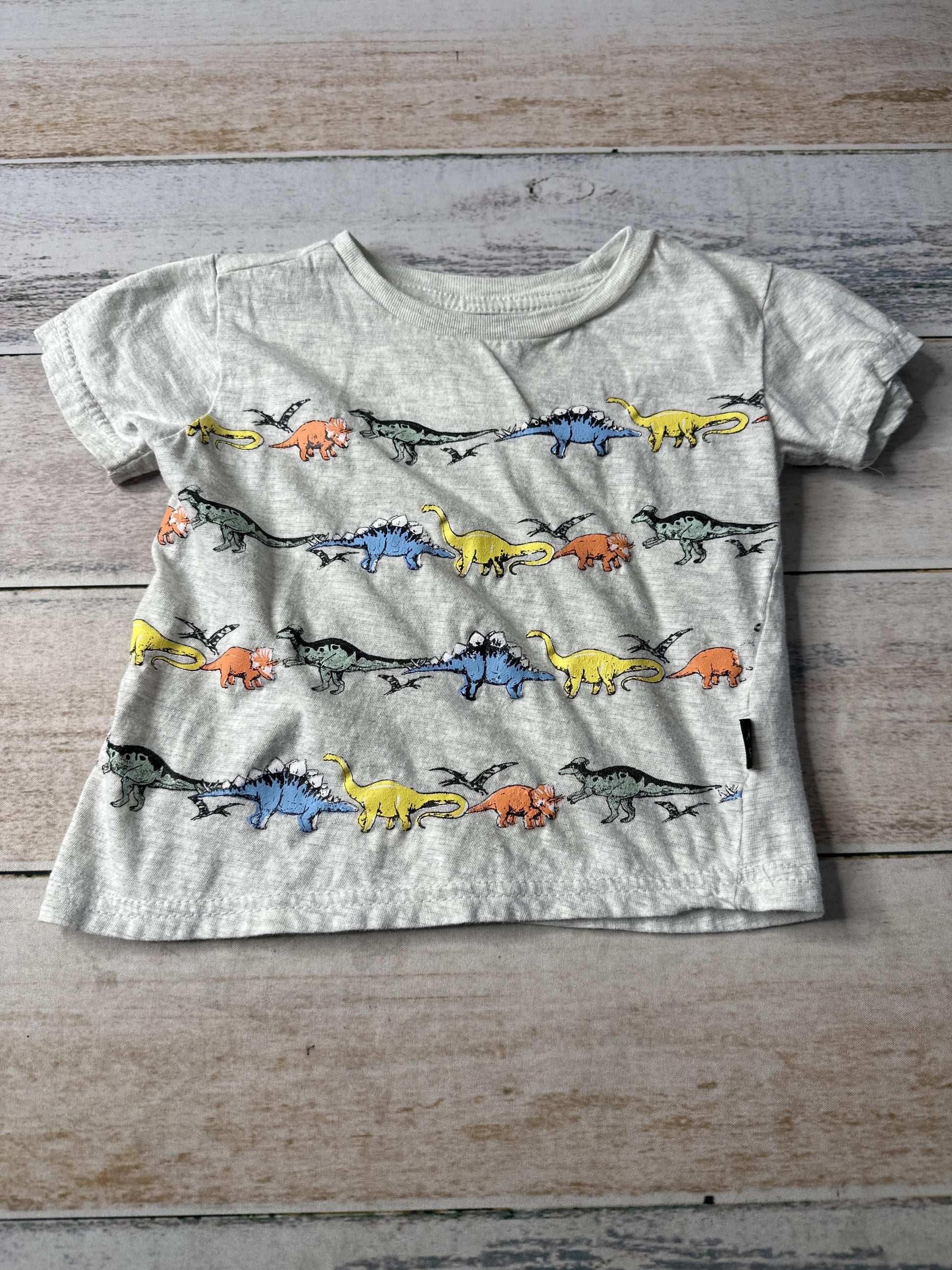 American Hawk Unisex Grey | Dinosaur T-Shirt Size: 2T Grey | Dinosaur