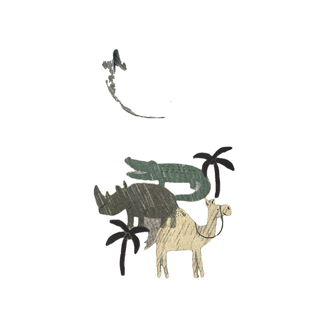 Carters Boys Grey | Dinosaur Tank Top Size: 9 months Grey | Dinosaur