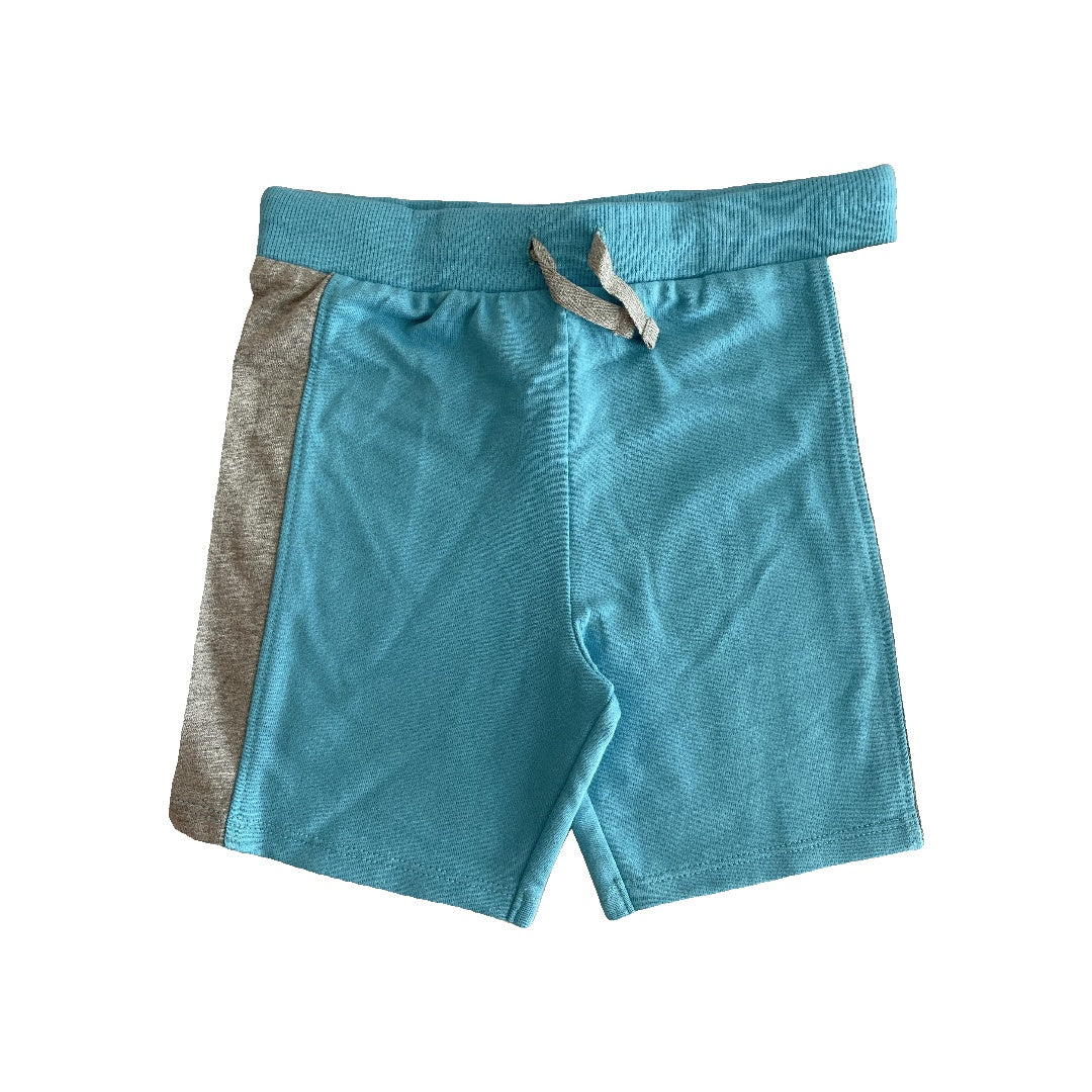 Burt's Bees Boys Grey | Light Blue Shorts Size: 24 months Grey | Light Blue