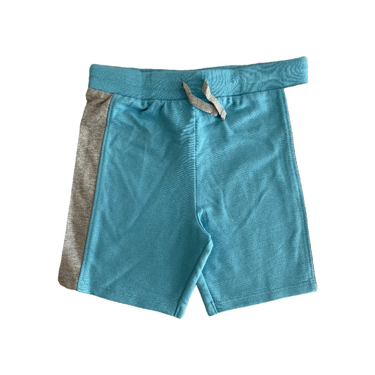 Burt's Bees Boys Grey | Light Blue Shorts Size: 24 months Grey | Light Blue