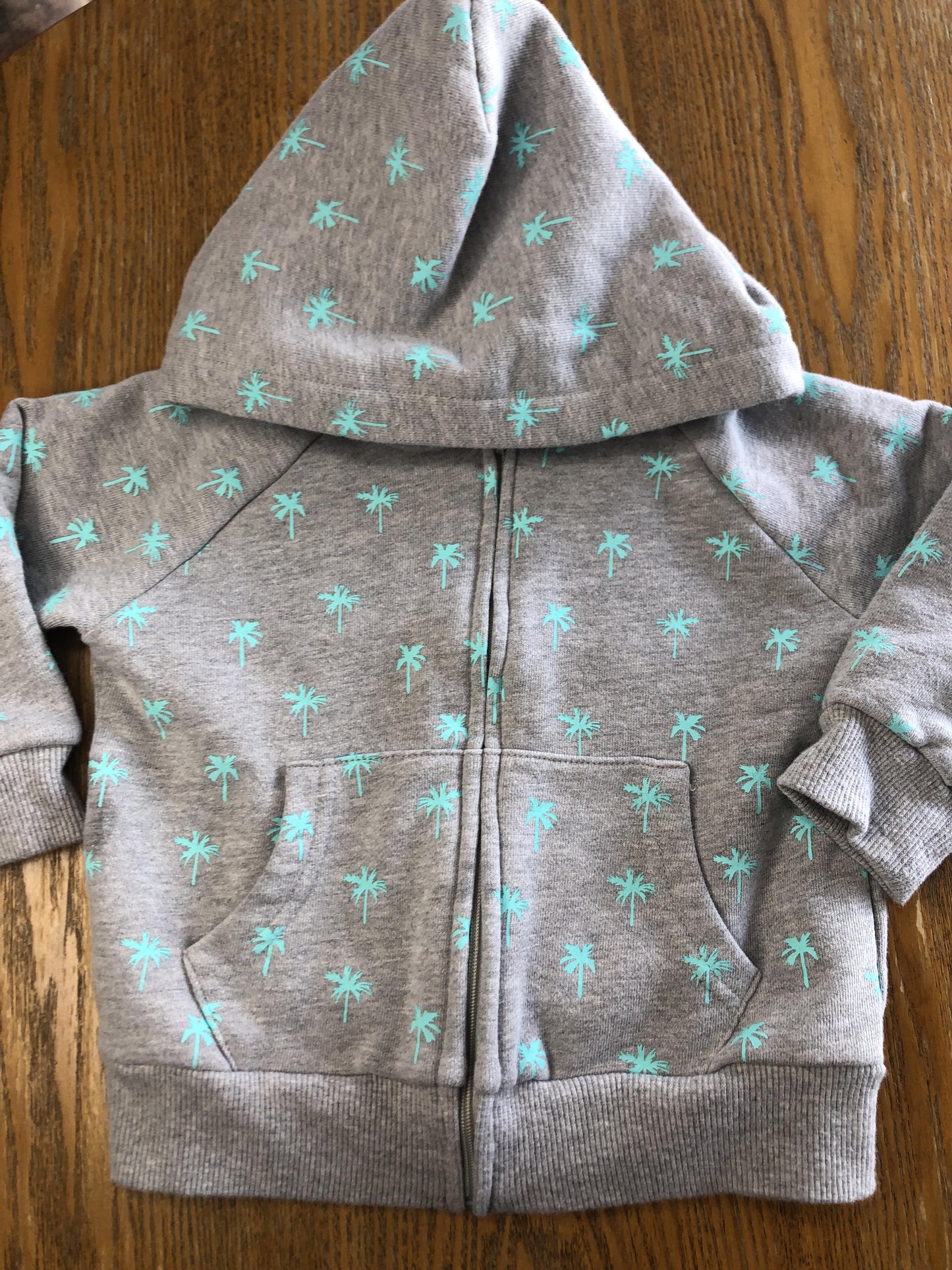 Little Starters Unisex Grey | Turquoise Hoodie Size: 24 months Grey | Turquoise