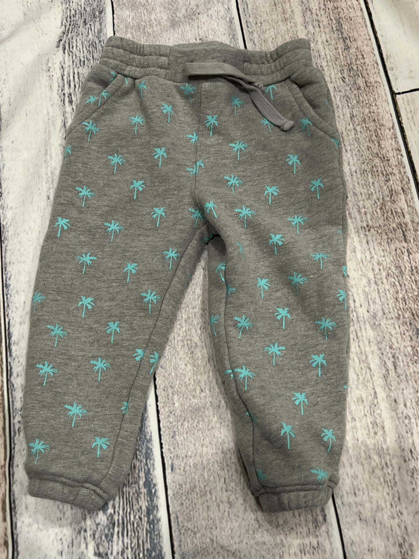 Little Starters Boys Grey | Turquoise Pants Size: 18-24 months Grey | Turquoise