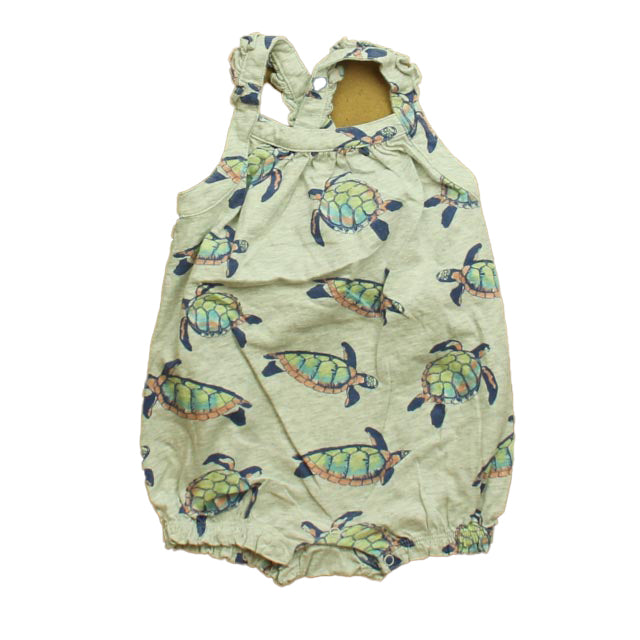 Tea Girls Grey | Turtle Onesie Size: 18-24 Months