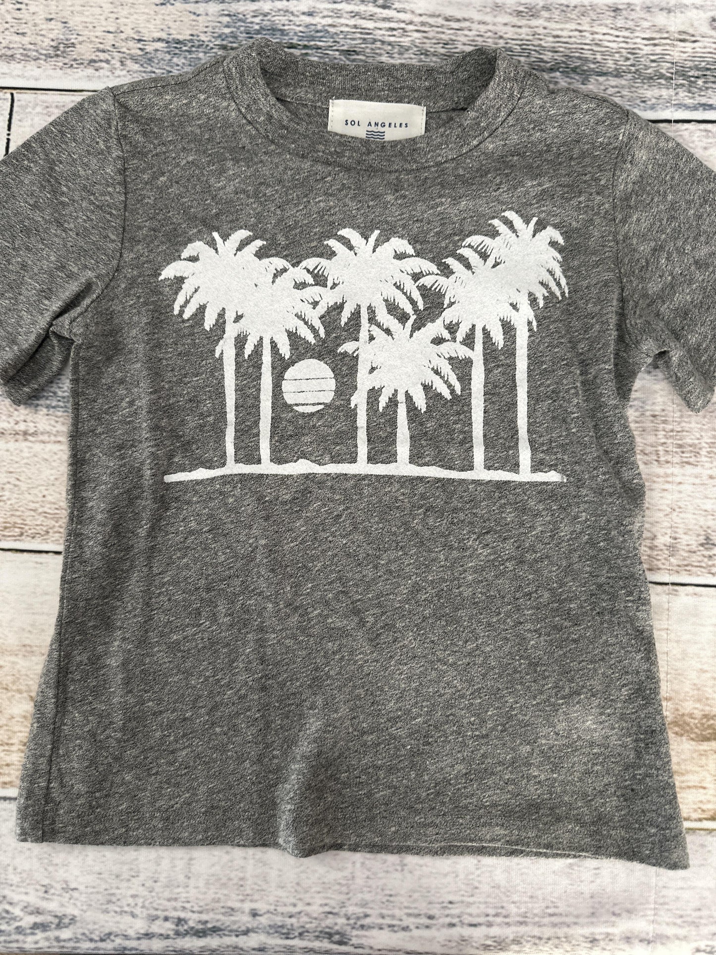 Sol Angeles Boys Grey | White T-Shirt Size: 4T Grey | White