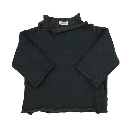 Gaia Boys Grey Sweatshirt Size: 18 Months Grey