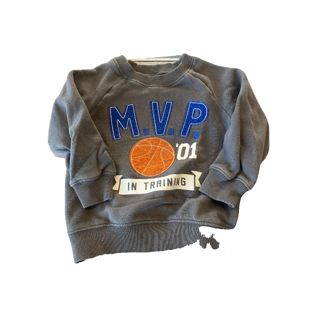 Carters Boys Grey Sweater Size: 2T Grey