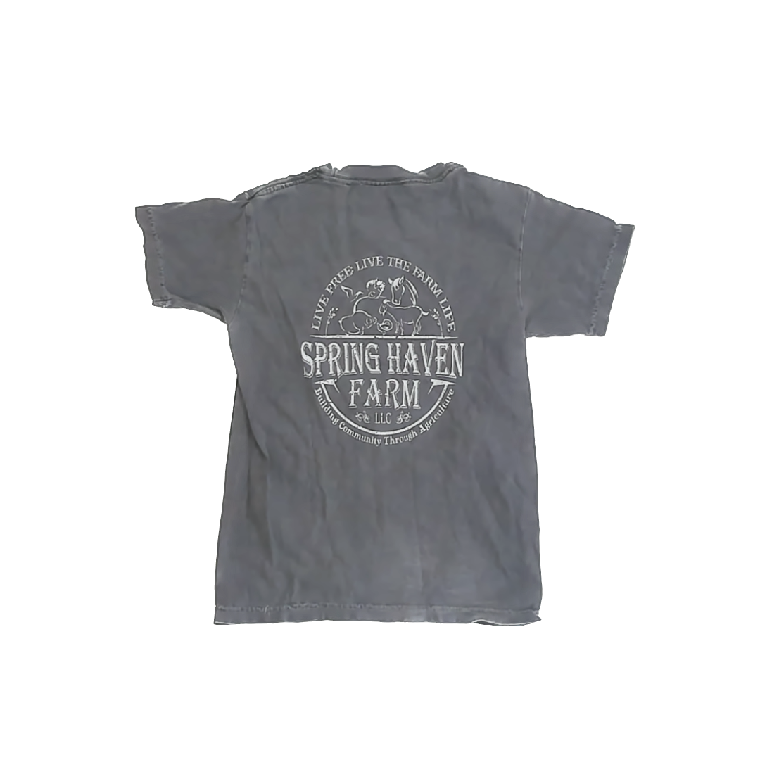 Comfort Colors Girls Grey T-Shirt Size: 8 Years Grey