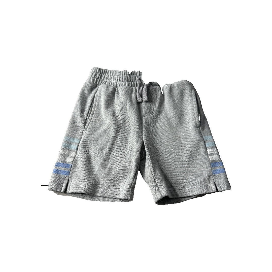 Splendid Boys Grey Shorts Size: 3T Grey