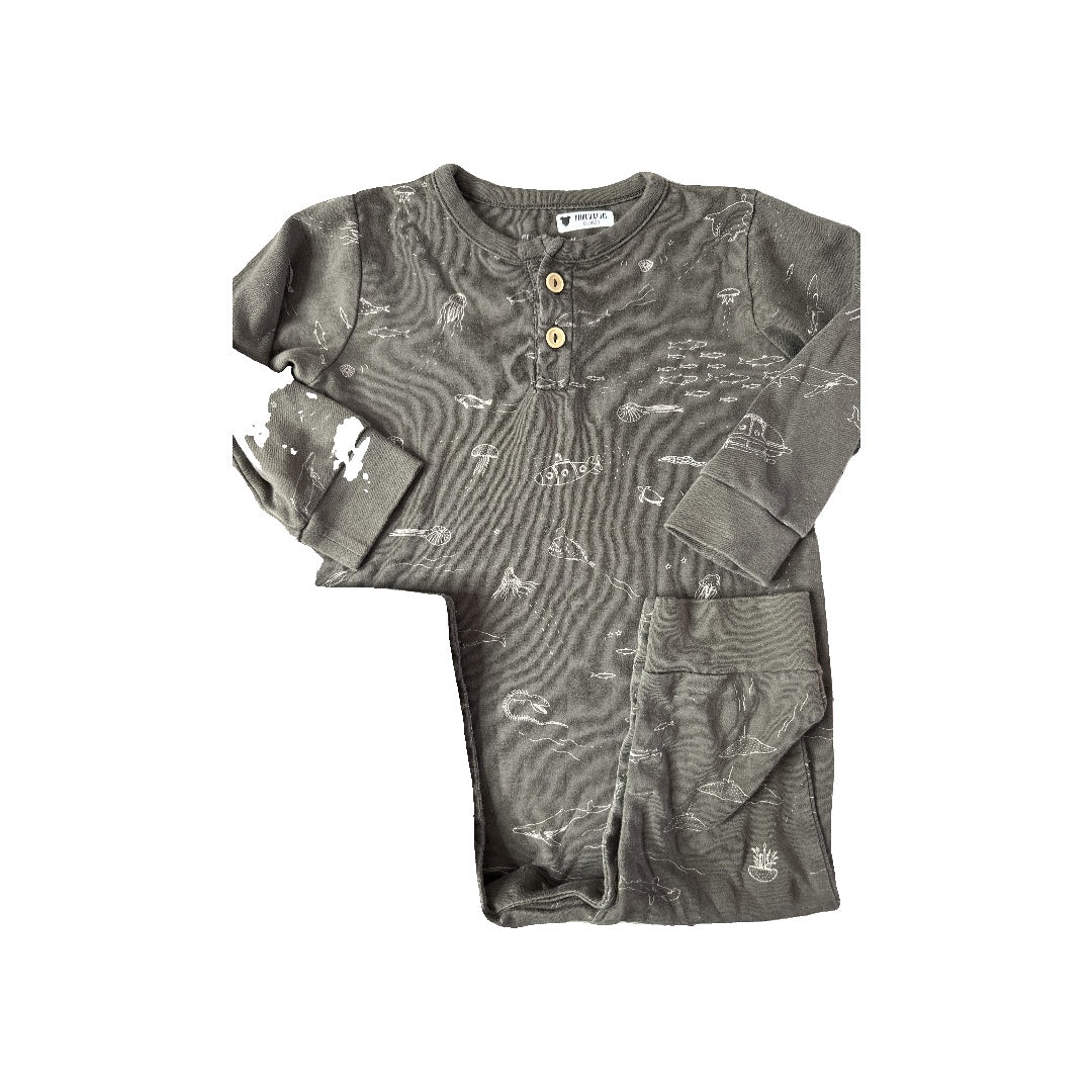 Red Caribou Unisex Grey Long Sleeve Outfit Size: 12-18 months Grey