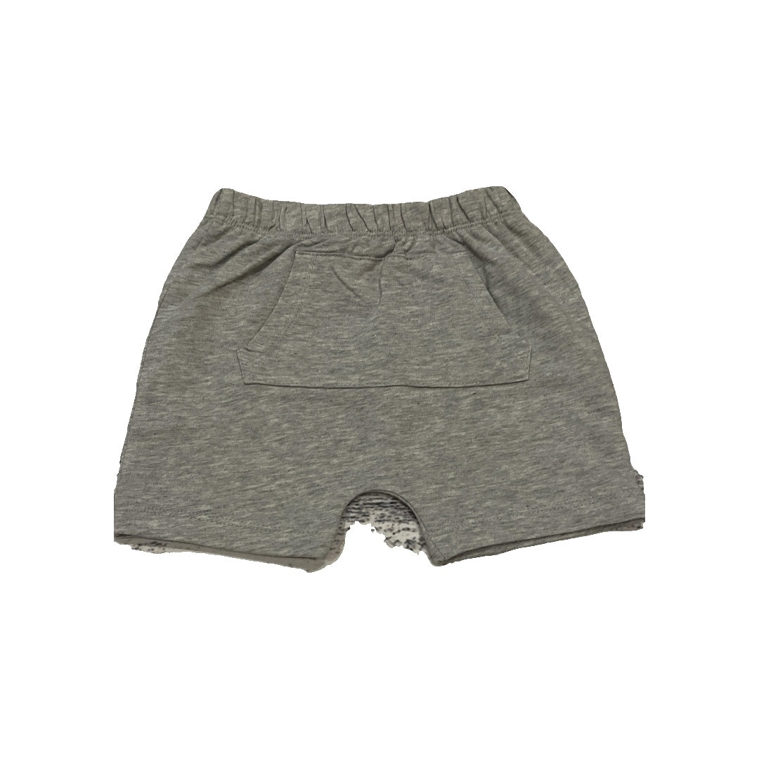 Honest co Boys Grey Shorts Size: 2T Grey