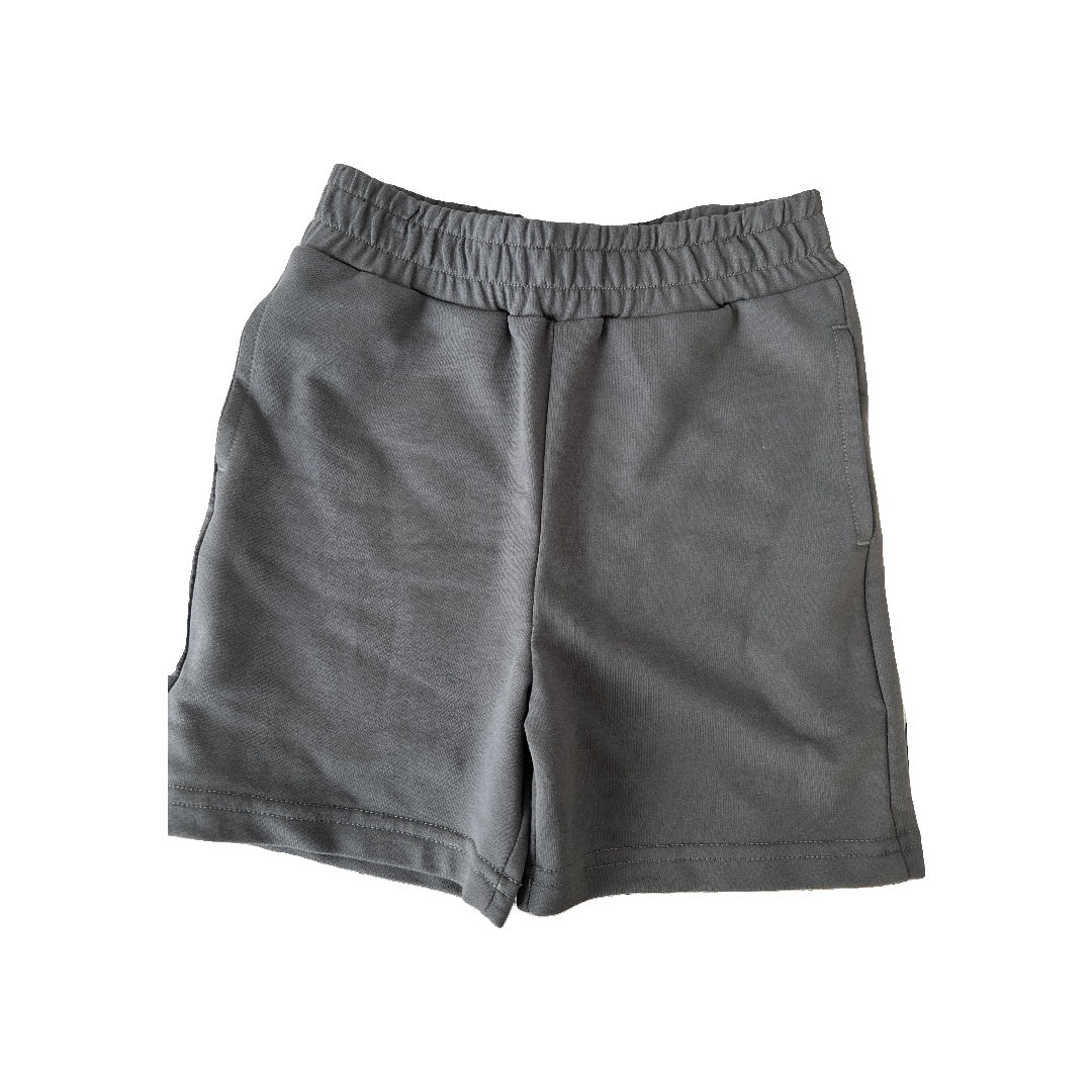 Nordstrom Boys Grey Shorts Size: 3T Grey