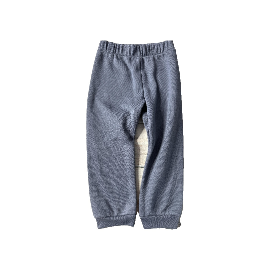 Garanimals Unisex Grey Pants Size: 3T Grey