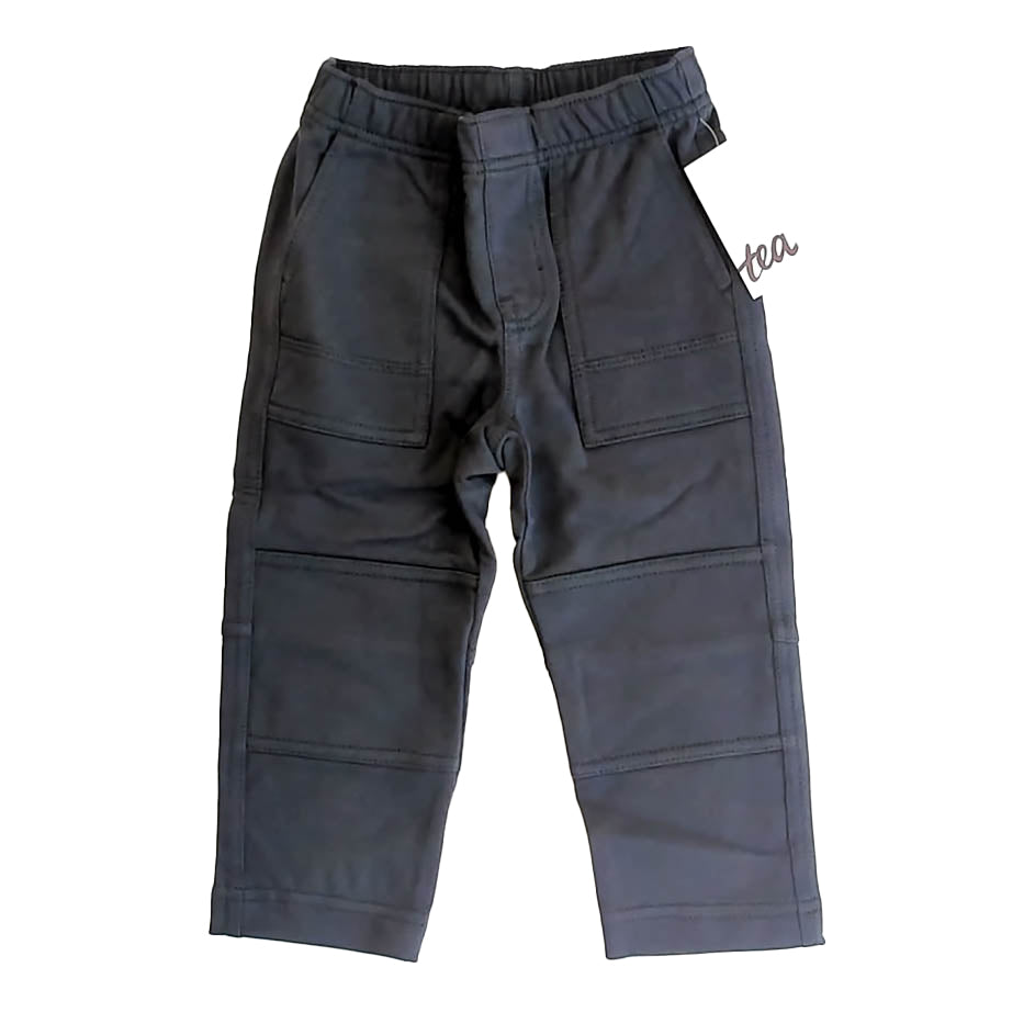 Tea Collection Boys Grey Casual Pants Size: 2T Grey