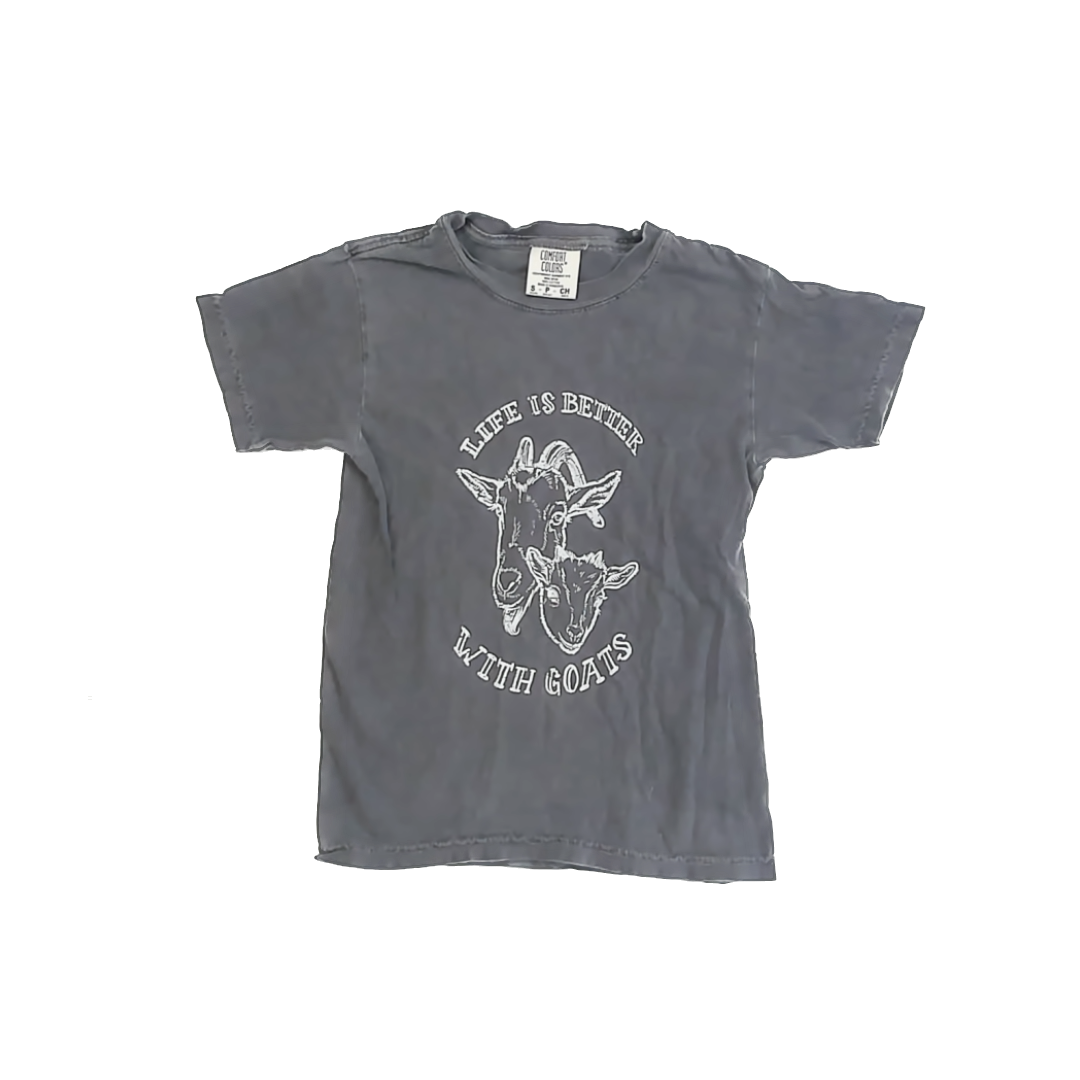 Comfort Colors Girls Grey T-Shirt Size: 8 Years Grey