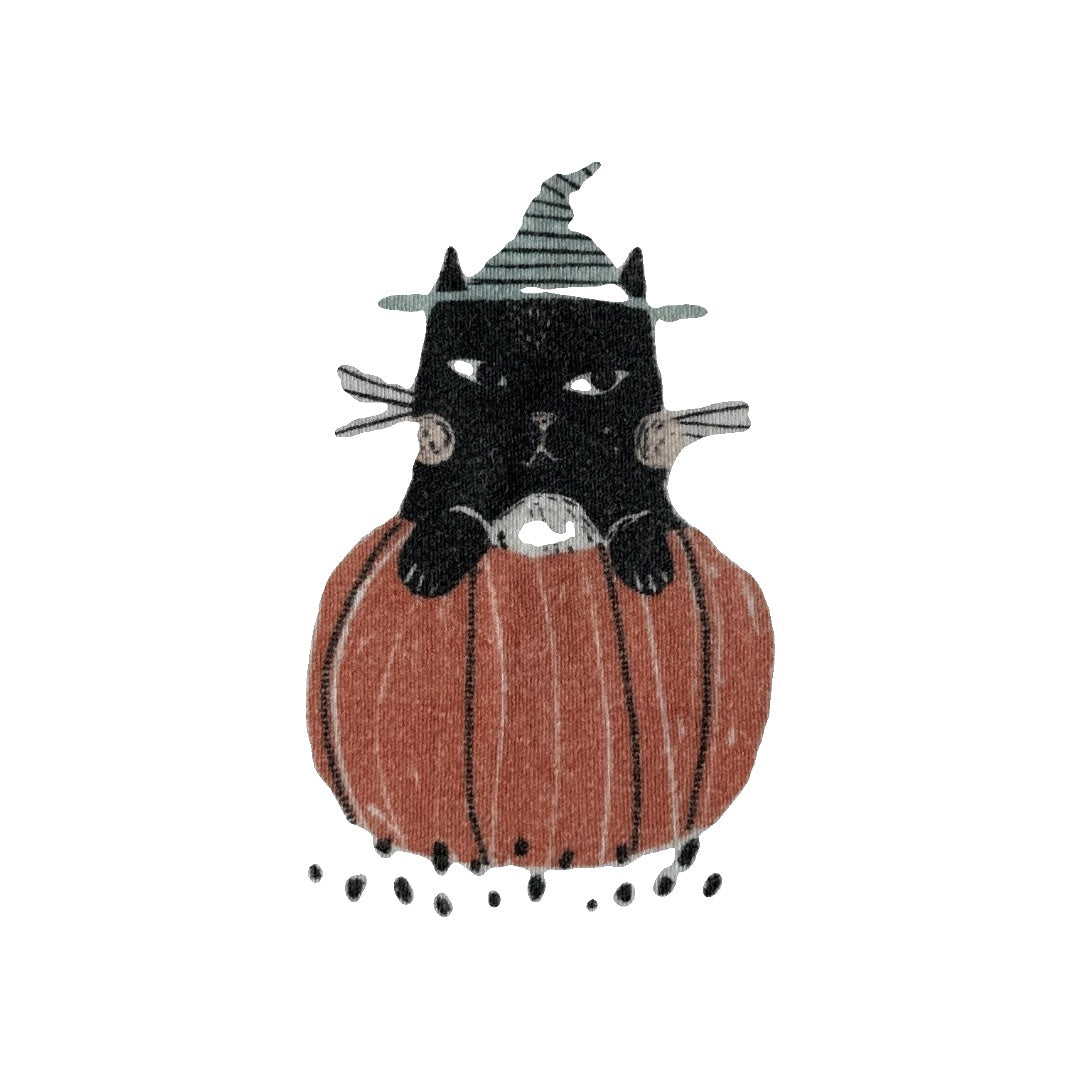 Finn + Emma Unisex Halloween | Cat T-Shirt Size: 12-18 months Halloween | Cat