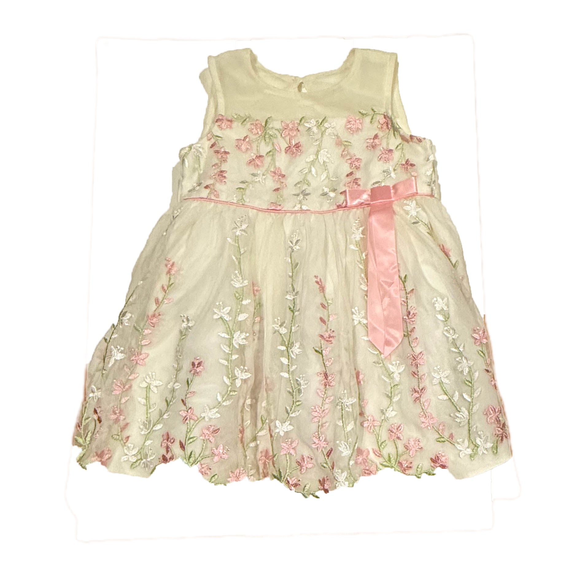 Jona Michelle Girls Ivory Floral Special Occasion Dress Size: 2T Ivory Floral