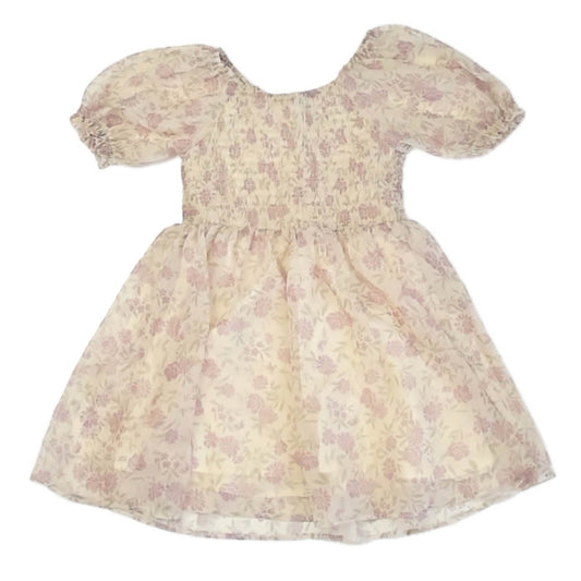 Noralee Girls Ivory Floral Dress Size: 4T Ivory Floral