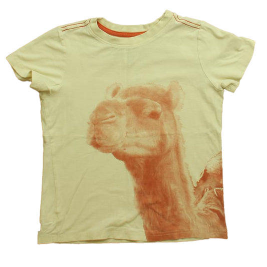 Tea Boys Ivory | Llama T-Shirt Size: 7 Years