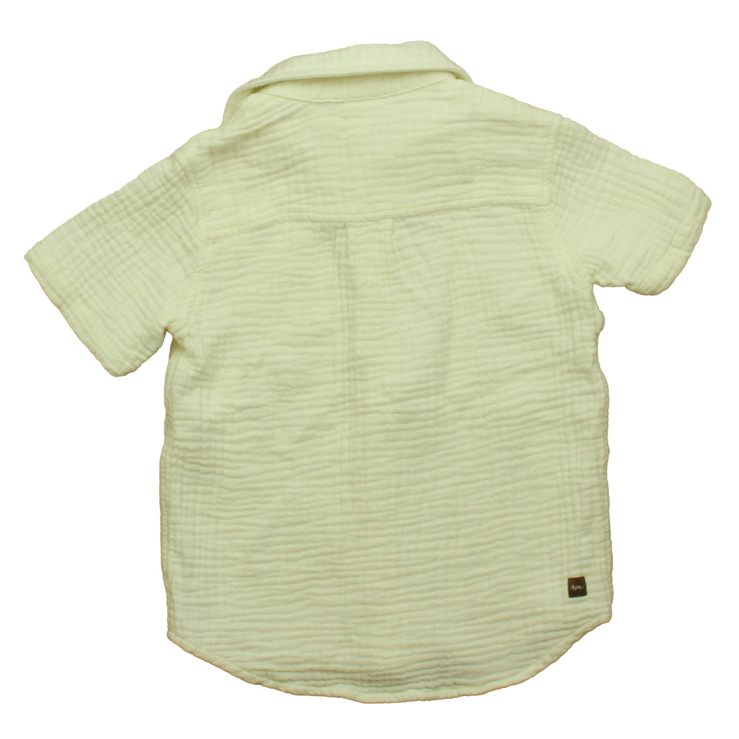 Tea Collection Boys Ivory Button Down Short Sleeve Size: 5T Ivory