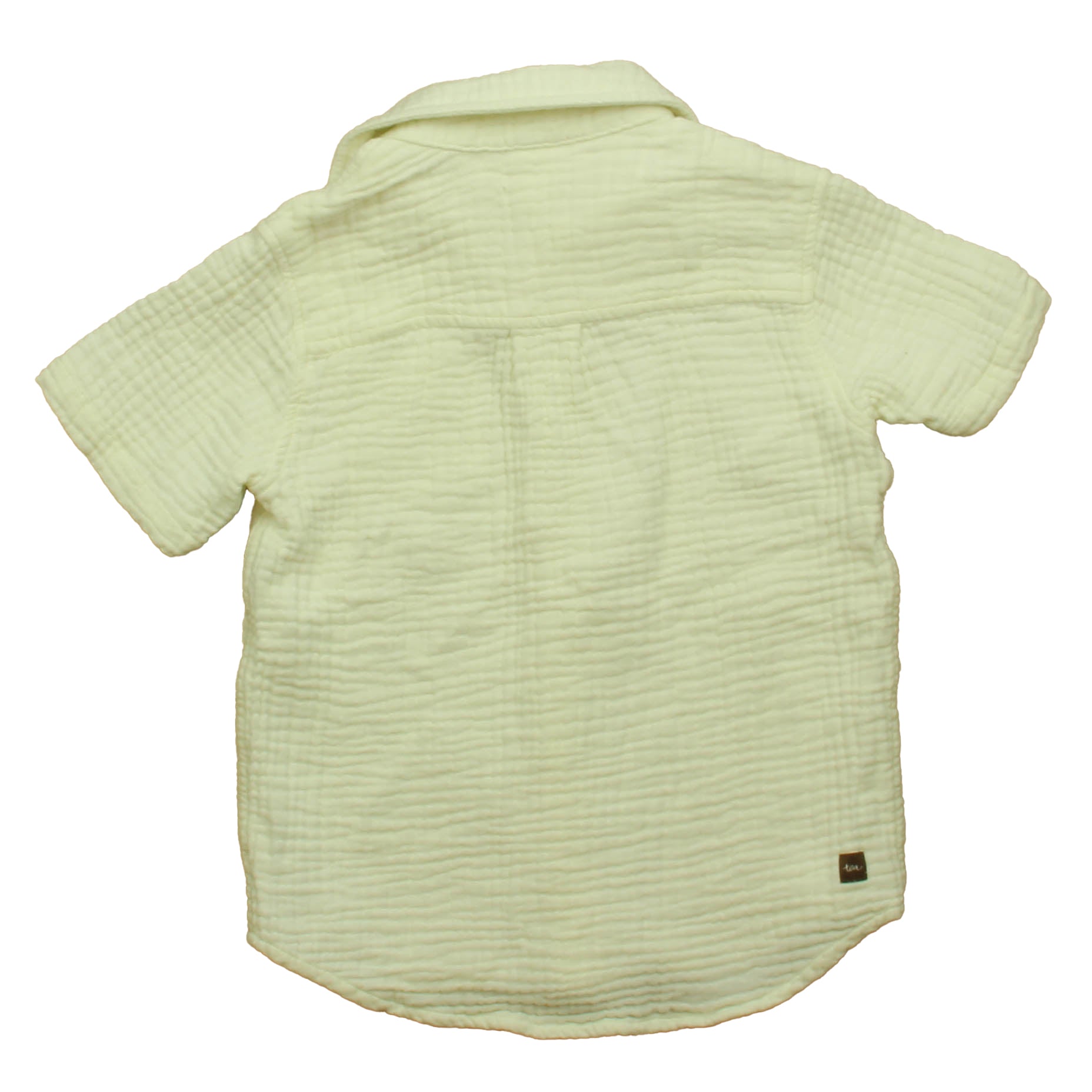Tea Collection Boys Ivory Button Down Short Sleeve Size: 5T Ivory