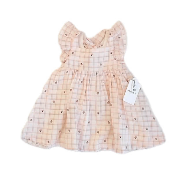 Nordstrom Girls Ladybugs Dress Size: 9 Months Ladybugs