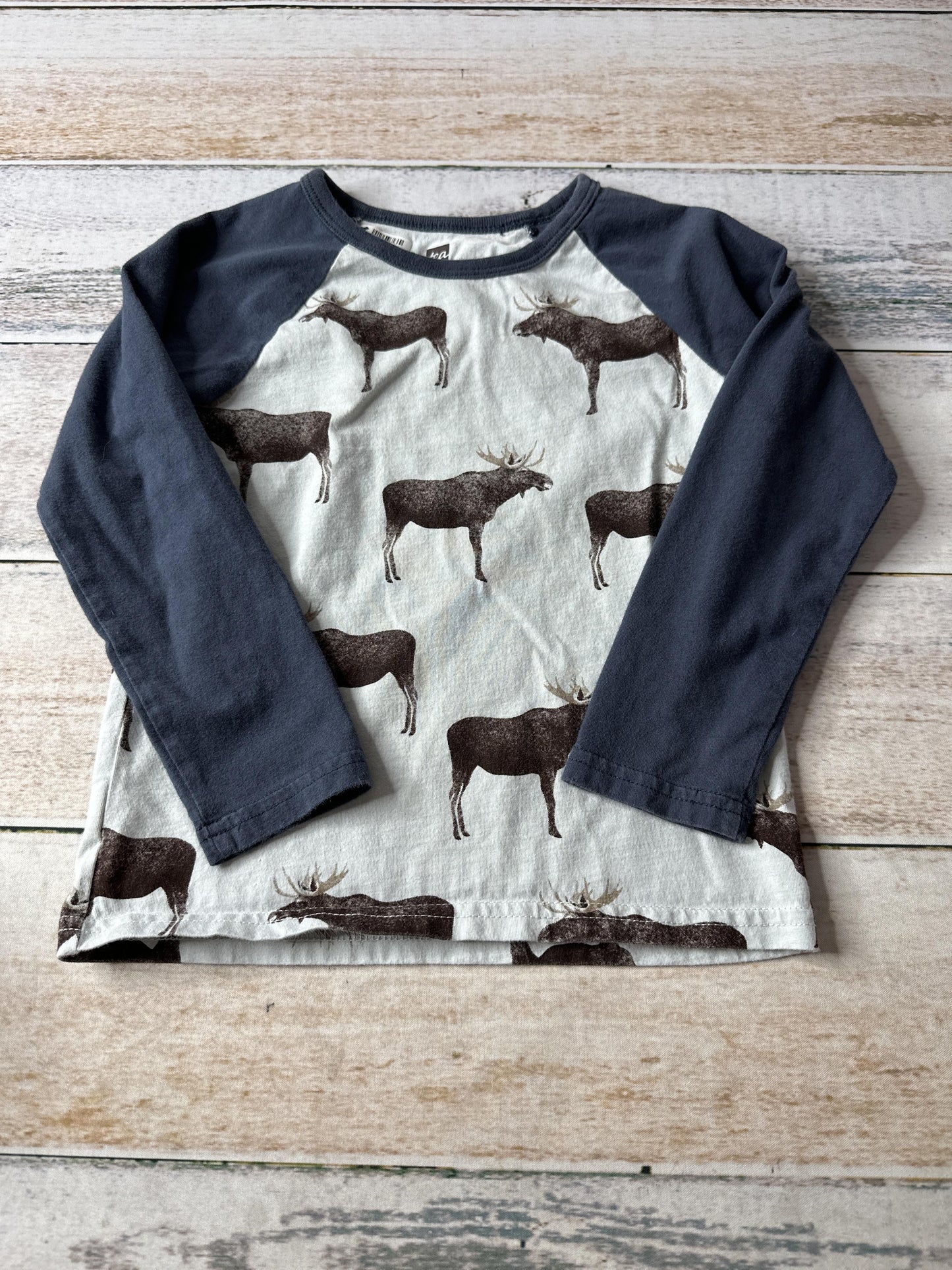 Tea Boys Light Blue | animals Long Sleeve T-Shirt Size: 3T Light Blue | animals