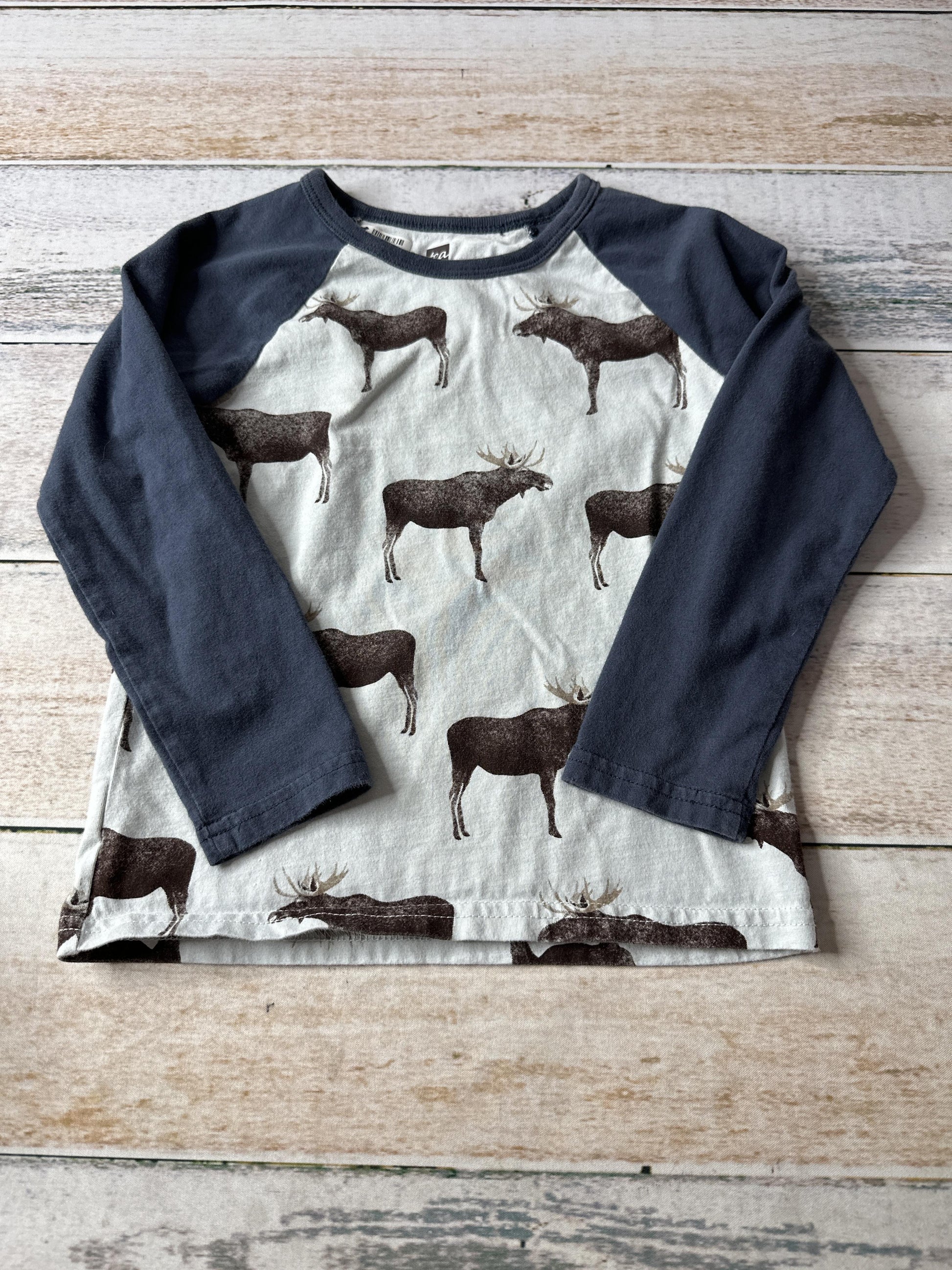 Tea Boys Light Blue | animals Long Sleeve T-Shirt Size: 3T Light Blue | animals