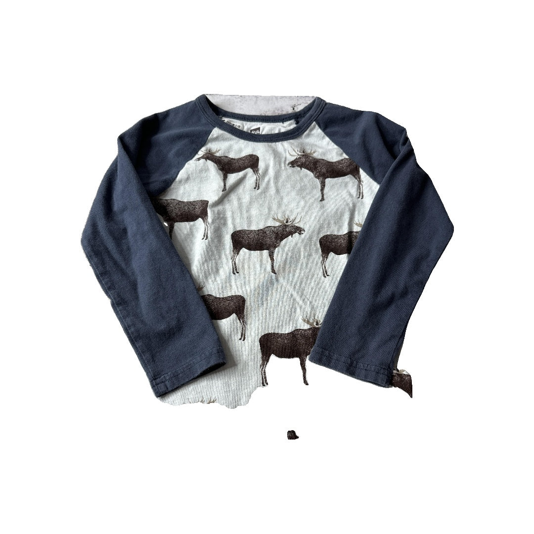 Tea Boys Light Blue | animals Long Sleeve T-Shirt Size: 3T Light Blue | animals
