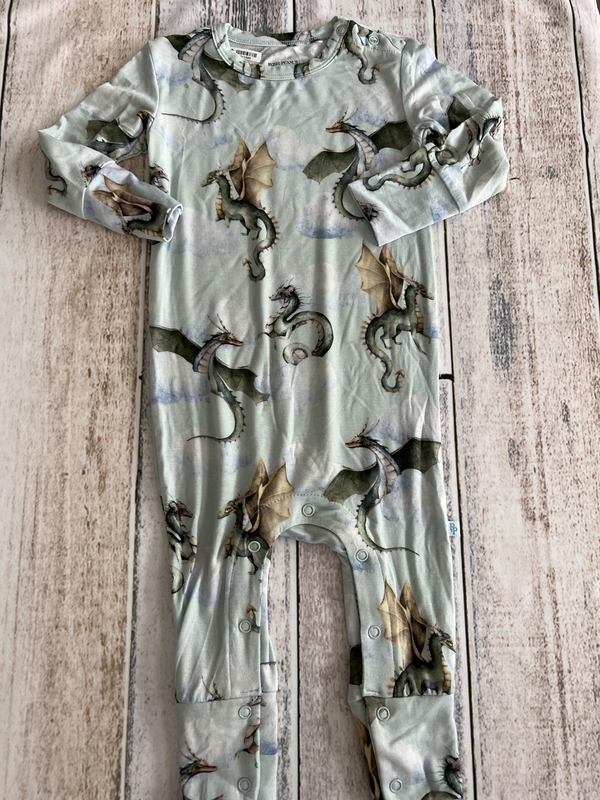 Posh Peanut Boys Light Blue | Fantasy | Whimsical Long Sleeve Outfit Size: 9-12 Months Light Blue | Fantasy | Whimsical