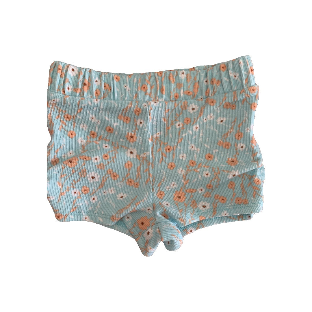 Art Class Girls Light Blue | Flowers | orange Shorts Size: 12M Light Blue | Flowers | orange